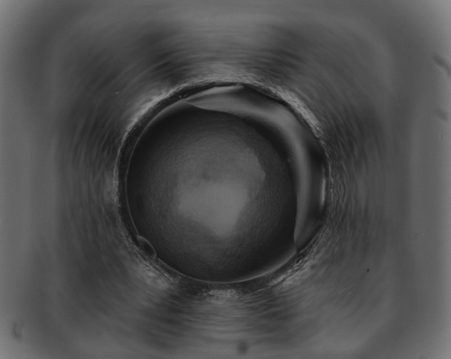 X0000093250391200709261724