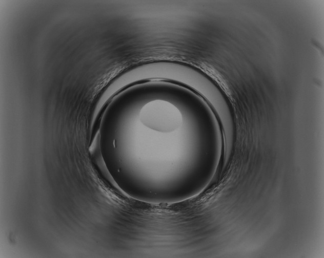X0000093250393200709261723
