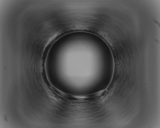 X0000093250395200709261723