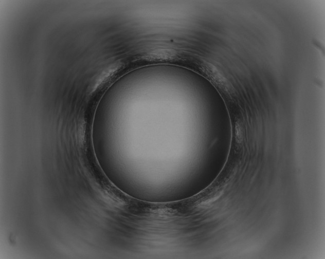 X0000093250396200709261723