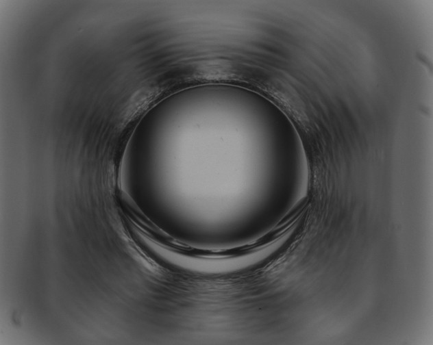 X0000093250397200709261723