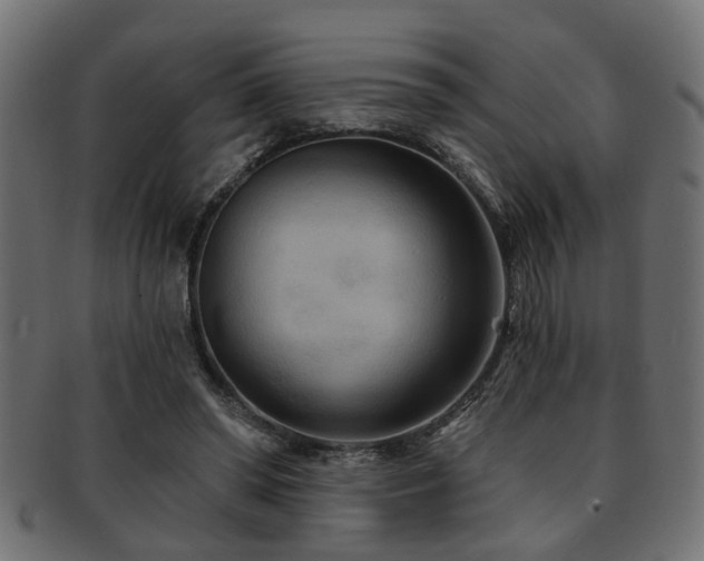 X0000093250398200709261723