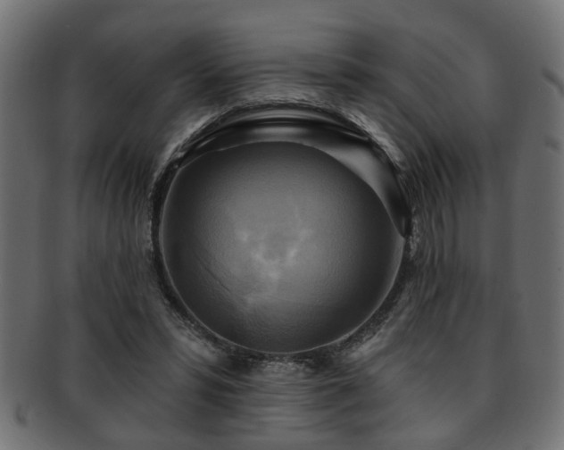 X0000093250399200709261723