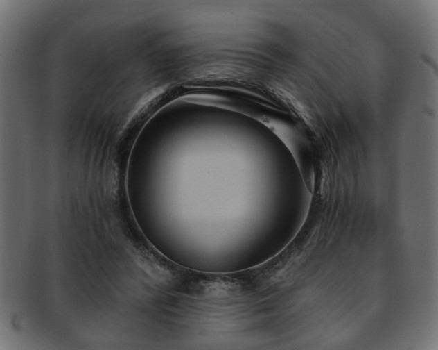X0000093250400200709261723