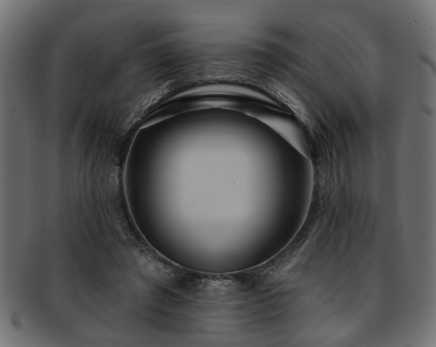 X0000093250401200709261723