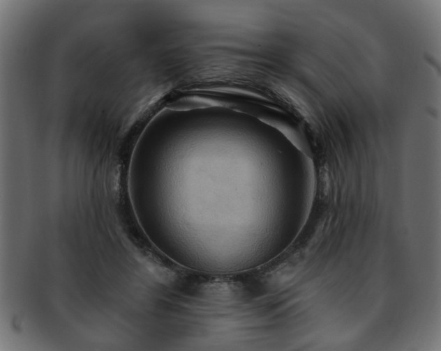 X0000093250404200709261723