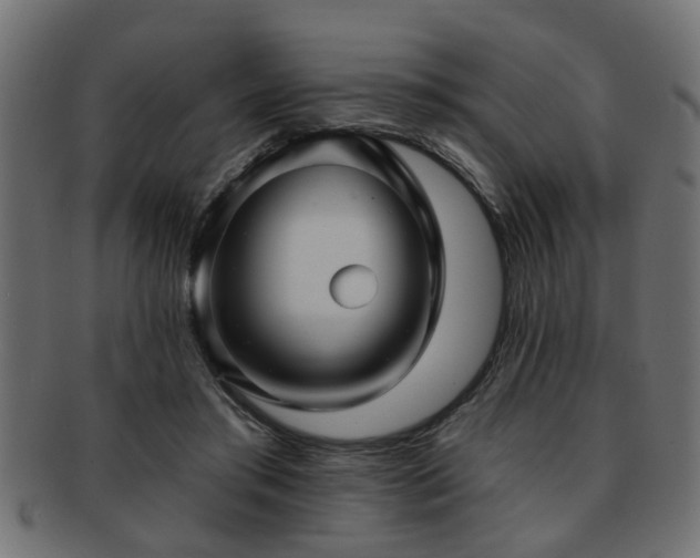 X0000093250405200709261723
