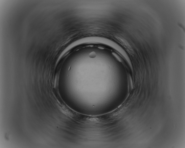X0000093250409200709261723