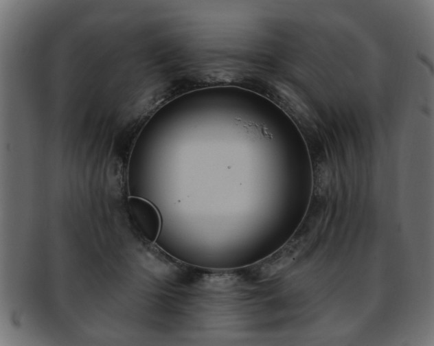 X0000093250414200709261723