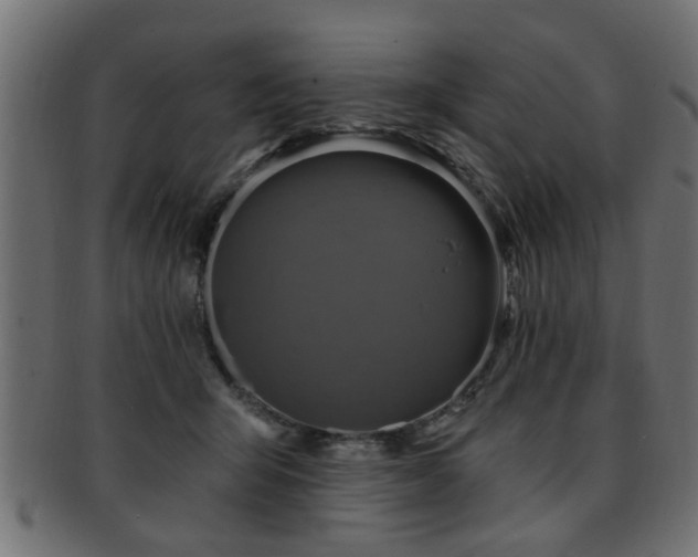 X0000093250415200709261723