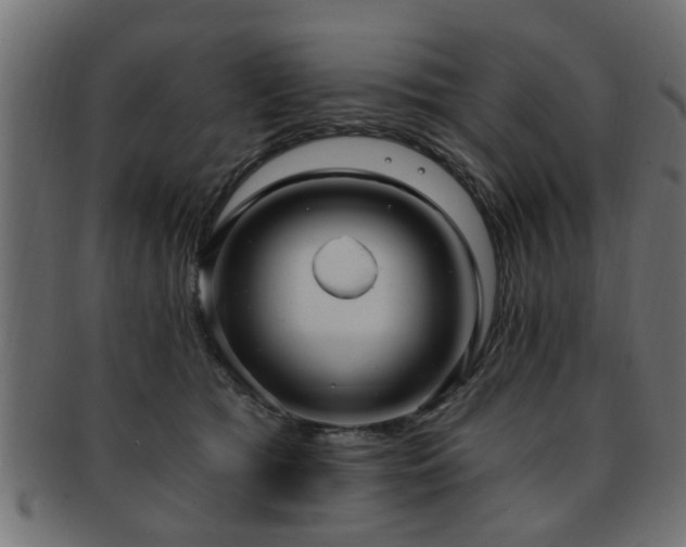 X0000093250417200709261723