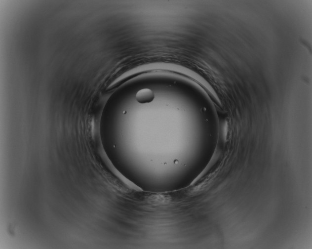 X0000093250421200709261723
