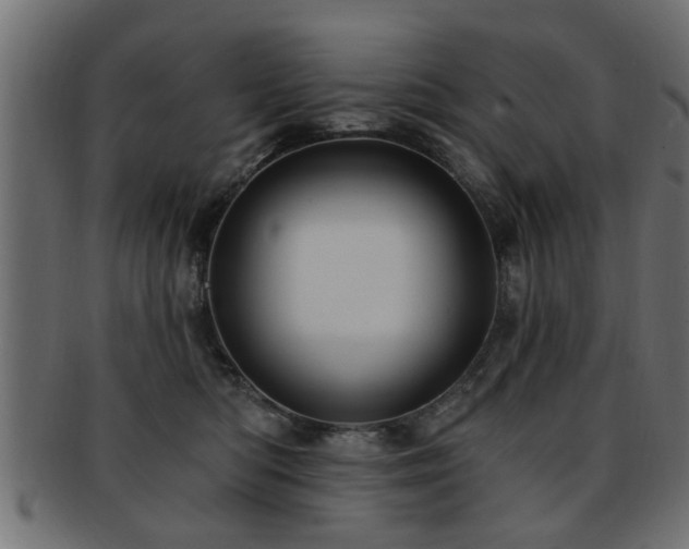 X0000093250422200709261723