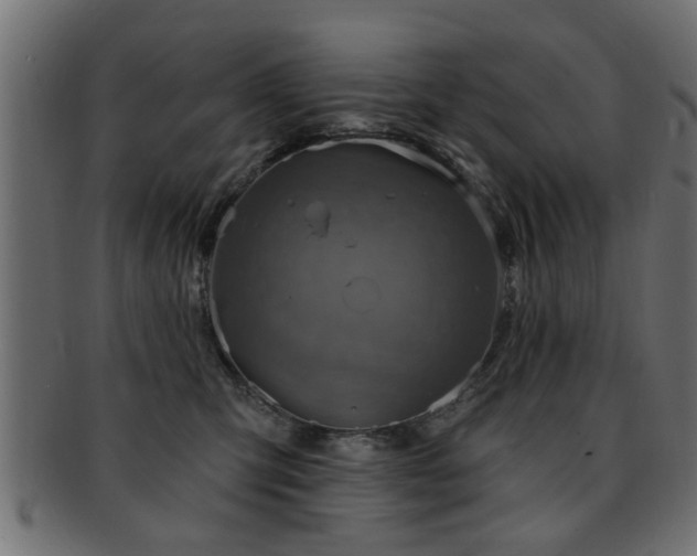 X0000093250423200709261723