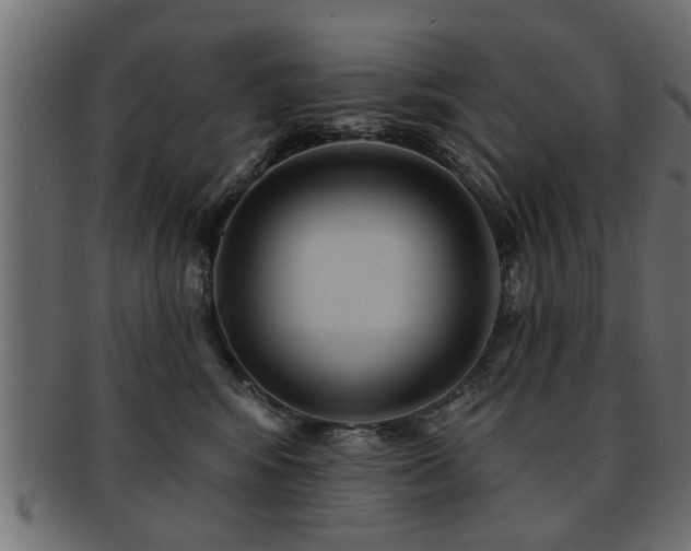 X0000093250424200709261723