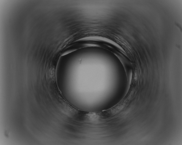 X0000093250425200709261723