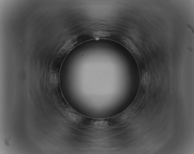 X0000093250426200709261723