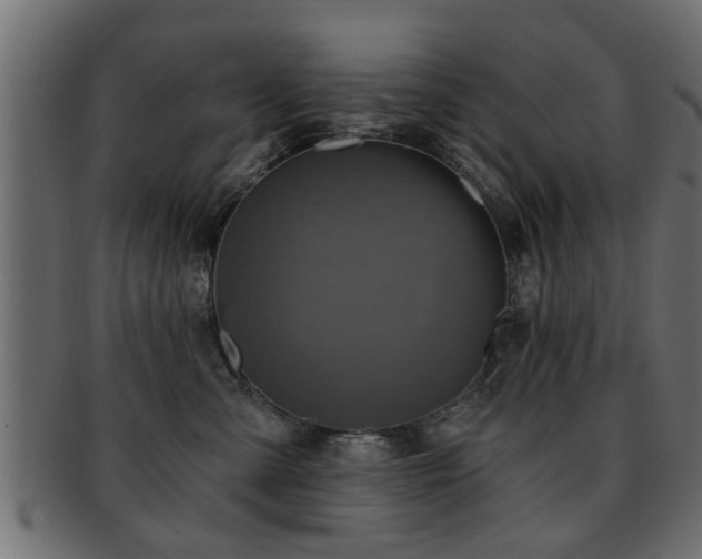 X0000093250427200709261723