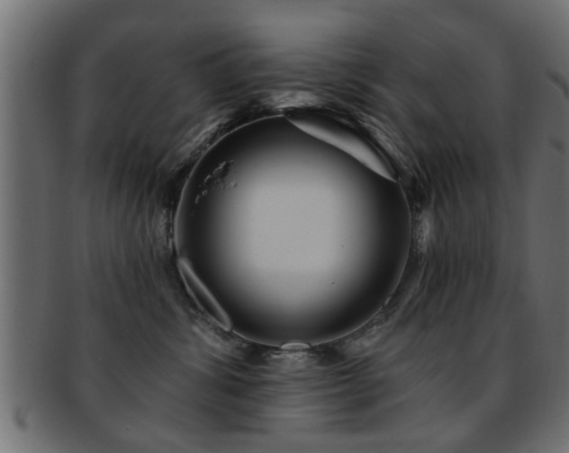 X0000093250428200709261723