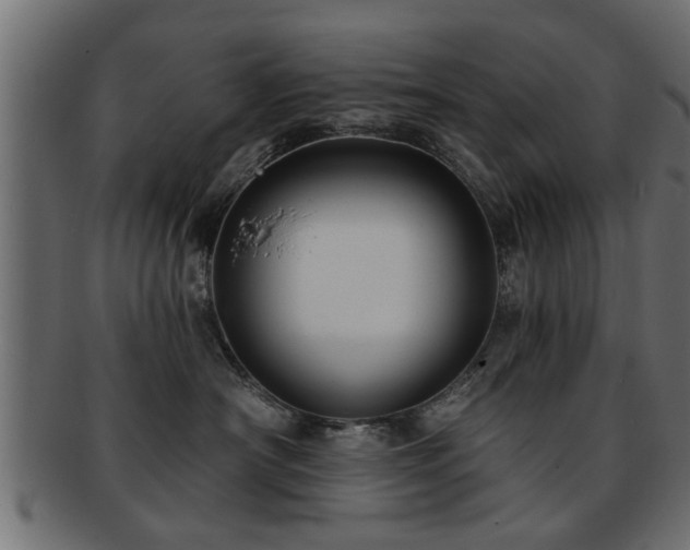 X0000093250430200709261723