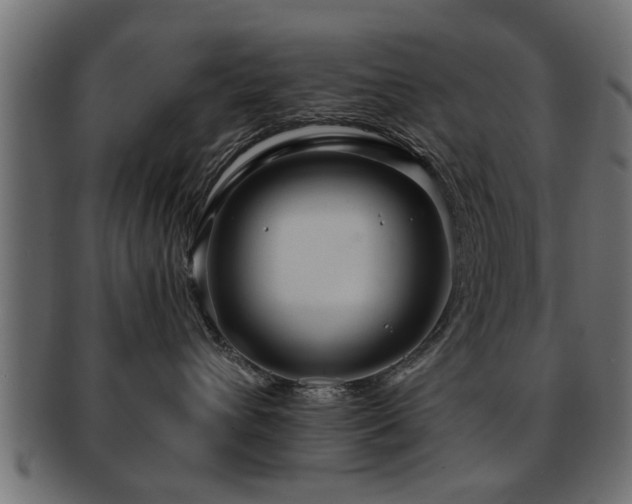 X0000093250432200709261723