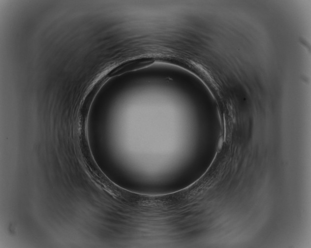 X0000093250435200709261722