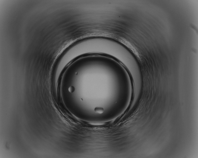 X0000093250436200709261722