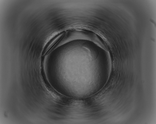 X0000093250438200709261723