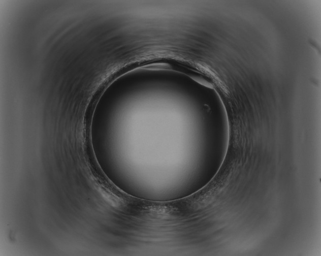 X0000093250439200709261723