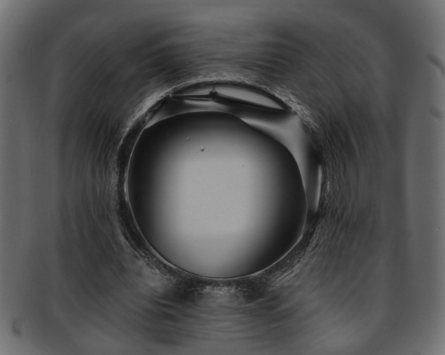 X0000093250440200709261723
