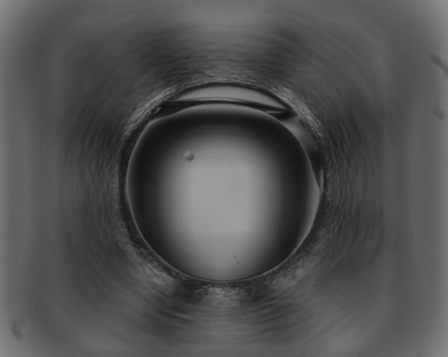 X0000093250442200709261723