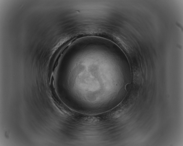 X0000093250443200709261723