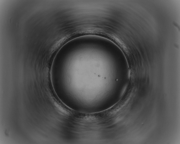 X0000093250445200709261723