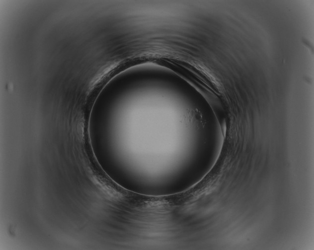 X0000093250446200709261723