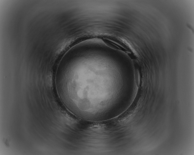 X0000093250447200709261723