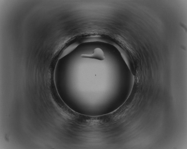 X0000093250448200709261723