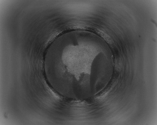X0000093250449200709261723
