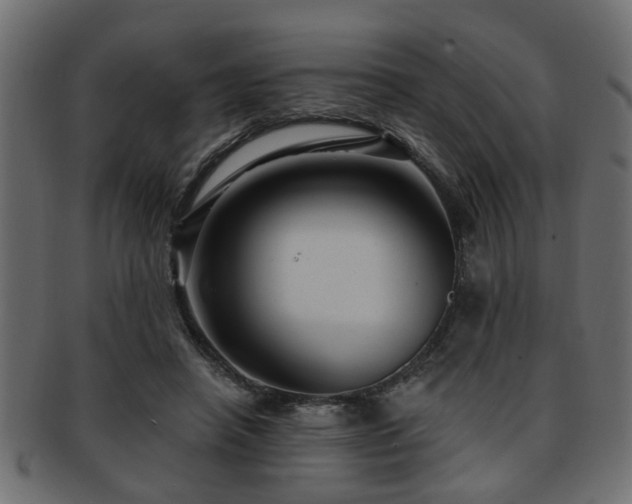 X0000093250450200709261723