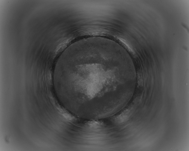 X0000093250453200709261723