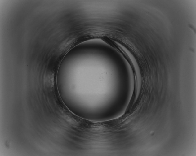 X0000093250454200709261723
