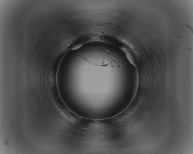 X0000093250455200709261723