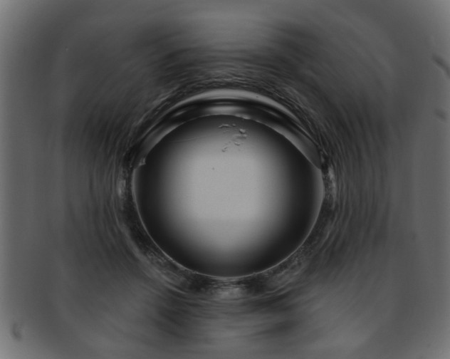 X0000093250456200709261723
