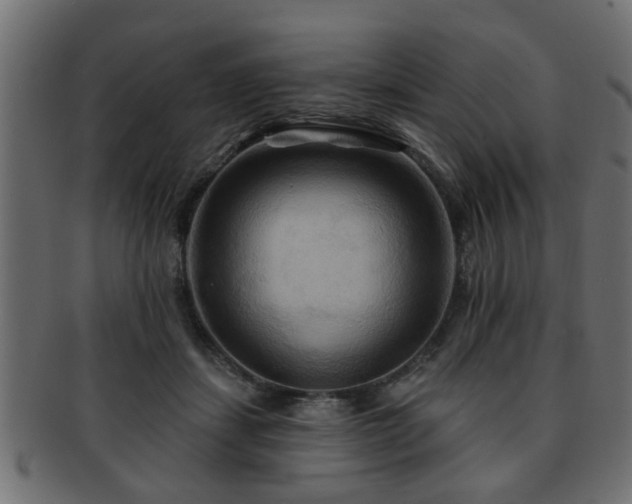 X0000093250459200709261723
