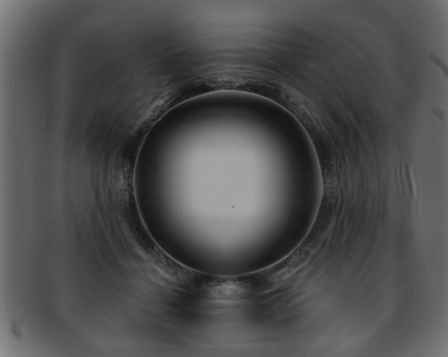 X0000093250460200709261723