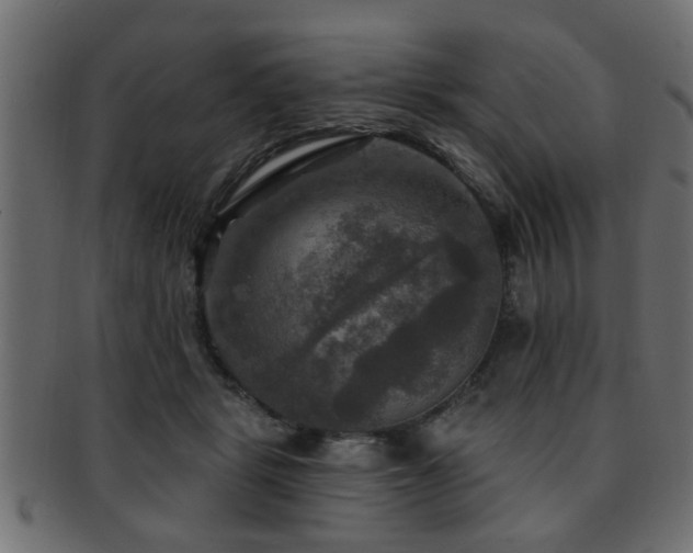 X0000093250461200709261723