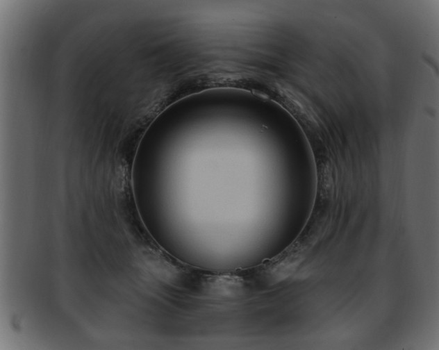 X0000093250463200709261723