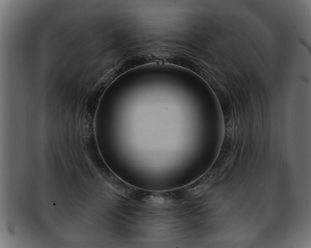 X0000093250464200709261723