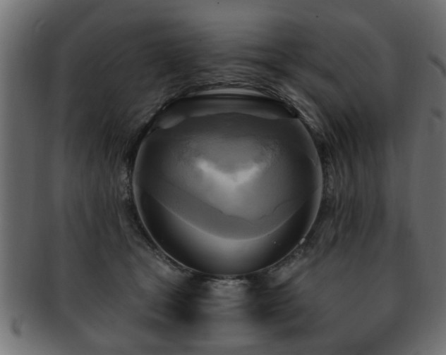 X0000093250465200709261723