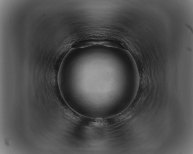 X0000093250466200709261723