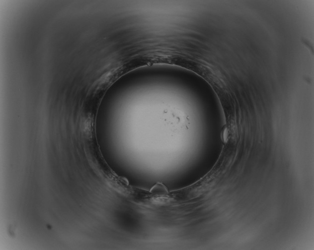 X0000093250468200709261723